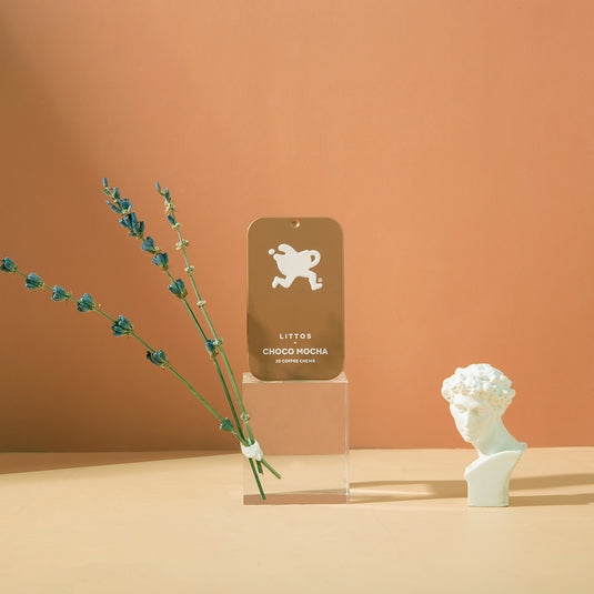 Choco Mocha x 24 TINS